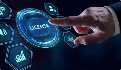 Licensing or Business Permit Costs